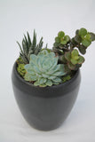 Succulent Planter - Small