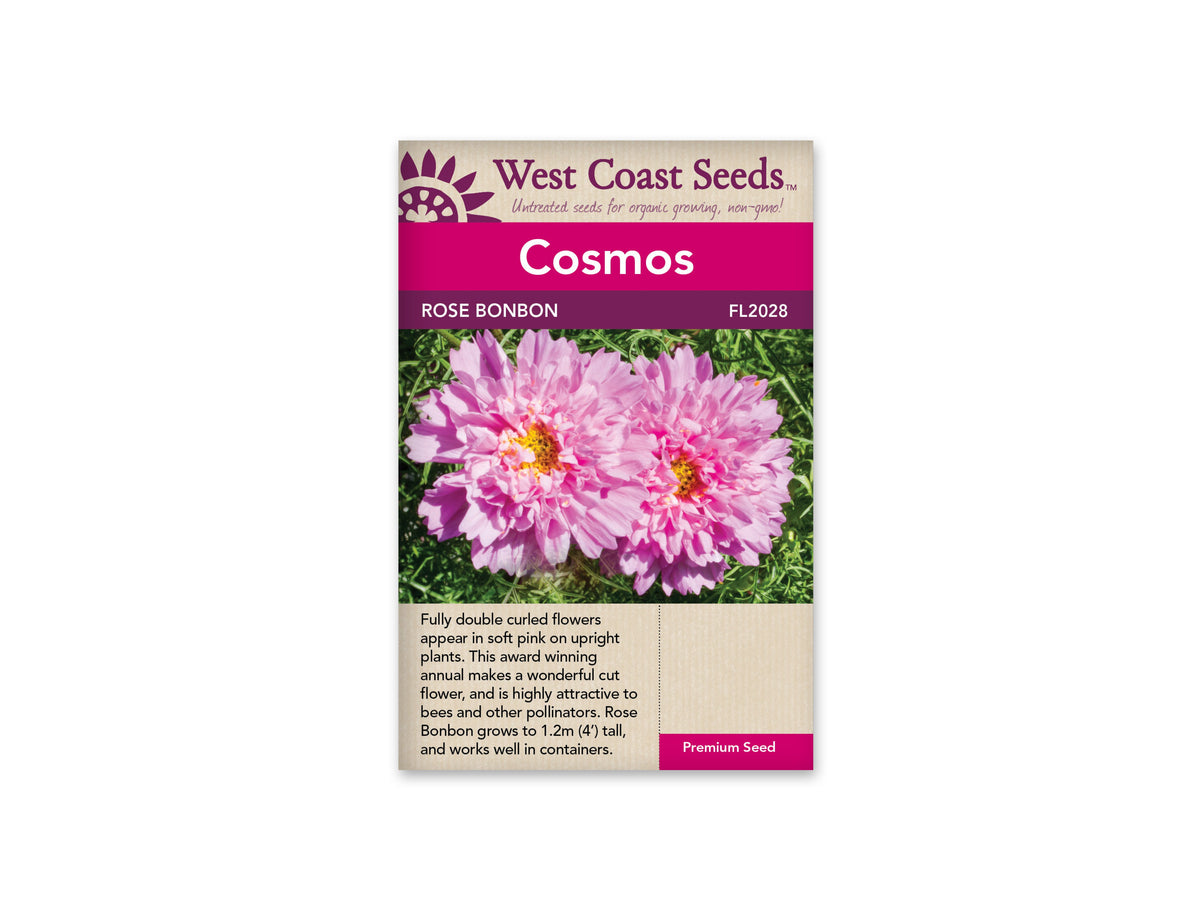 cosmos rose bonbon seeds Cosmos Seeds – Family Flowers Inc