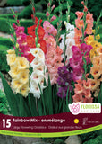 Bulb Package - Gladiolus