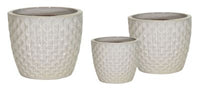 Portly Egg Pot