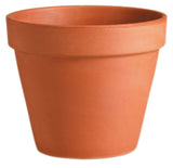 Italian Terracotta - Clay