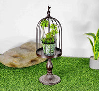 Bird Cage Decor