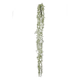 Everlasting Vine Spray