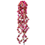 Everlasting Vine Spray