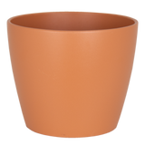 Italian Terracotta - Clay