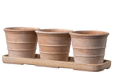 Bleached Terra Cotta