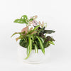 Spring Garden