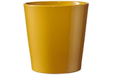 Dallas Pot