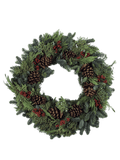 Multicone Living Wreath