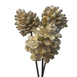 Pinecone Pick