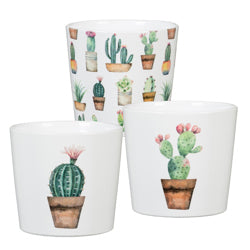 Cactus Pot
