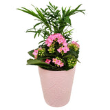 Jacquard Helen Arrangement