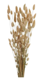 Bunny Tails Bunch