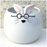 Bunny Pot