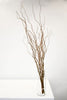 Pussy Willow Branch Bunch