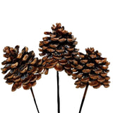Pinecone Pick