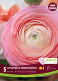 Bulb Package - Ranunculus
