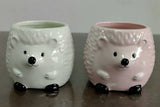 Hedgehog Planter