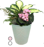 Jacquard Helen Arrangement