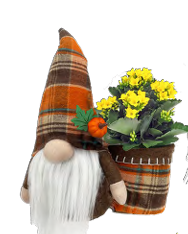 Herschel Gnome Arrangment