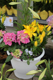 Spring Porch Pot - Deluxe
