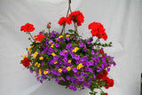Inspired by Colour Mixed Hanging Basket