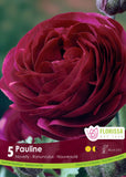 Bulb Package - Ranunculus