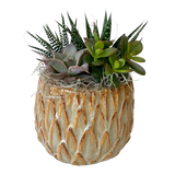 Succulent Pedestal Planter