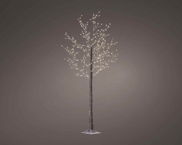 Microlight Tree
