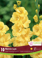 Bulb Package - Gladiolus