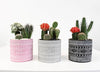 Anthropology Cactus Garden