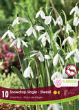 Bulb Package - Snowdrops, Iris + Muscari