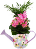 Watering Can Garden
