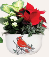 Mary Garden Cardinal Planter