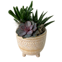 Succulent Pedestal Planter