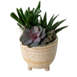 Succulent Pedestal Planter