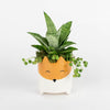 Woodland Fox Mini Garden