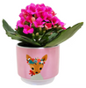 Trixy Animal Garden