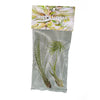Air Plant Gift Bag - Tillandsia