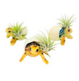 Animal Air Planters