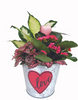 Valentine Garden