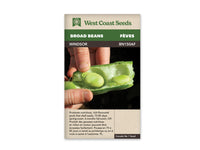 Bean Seeds - Broad
