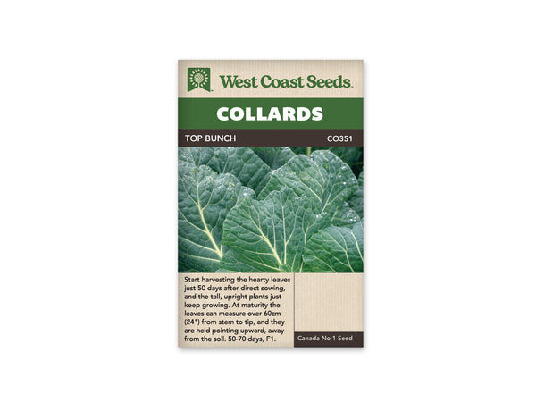 Collard Seeds