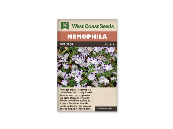 Nemophilia Seeds