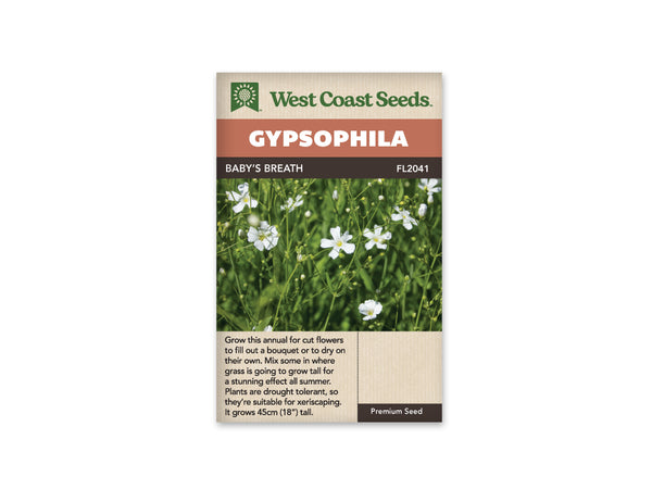 Gypsophila Seeds
