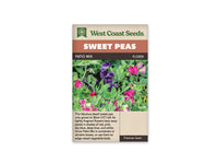 Sweet Pea Seeds