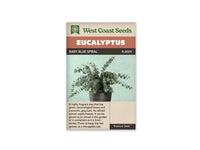 Eucalyptus Seeds