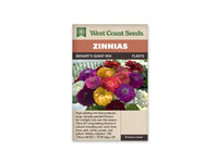 Zinnia Seeds