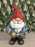 Garden Gnome