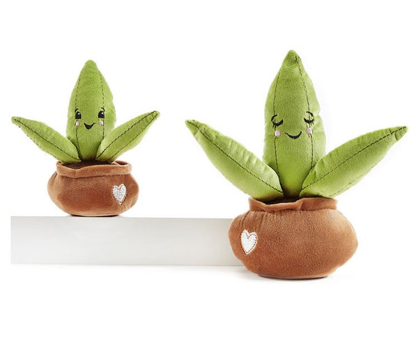 Lil Seedlings Soil Mate Plush Collection